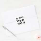 Katten Vierkante Sticker (Envelop)