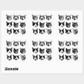 Katten Vierkante Sticker (Vel)