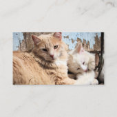Katten Visitekaartje (Achterkant)