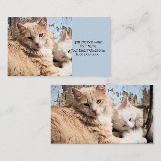 Katten Visitekaartje (Voorkant / Achterkant)