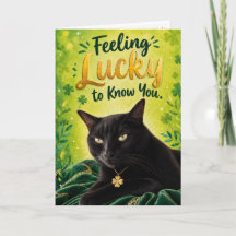Katten voelen zich gelukkig dat ze jou kennen (St.