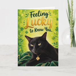 Katten voelen zich gelukkig dat ze jou kennen (St. Kaart