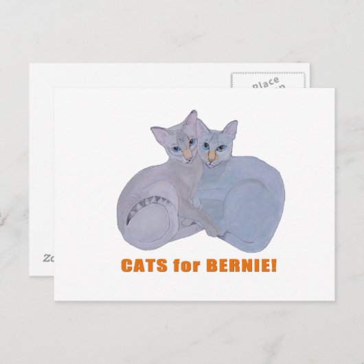 Katten voor Bernie! Briefkaart (Voorkant / Achterkant)