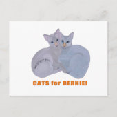 Katten voor Bernie! Briefkaart (Voorkant)