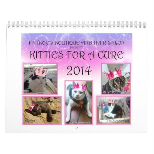 KATTEN VOOR EEN CURE CALENDAR 1 2014 KALENDER (Hoes)