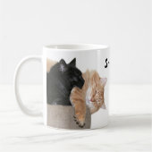 Katten voor enkelvoudig gebruik koffiemok (Links)