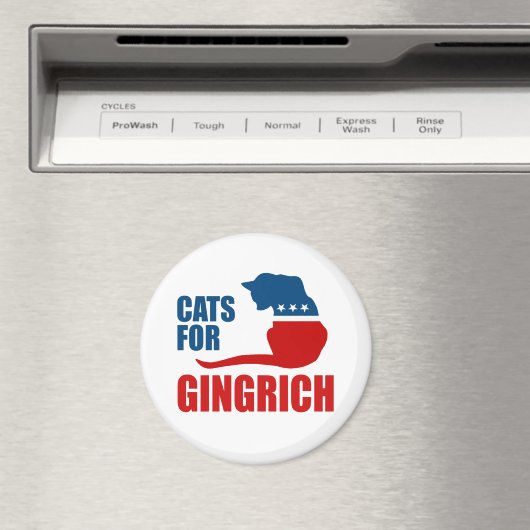 KATTEN VOOR GINGRICH MAGNEET (Insitu (Vaatwasser))