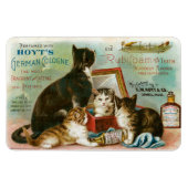 Katten voor Hoyt's Magneet (Horizontaal)