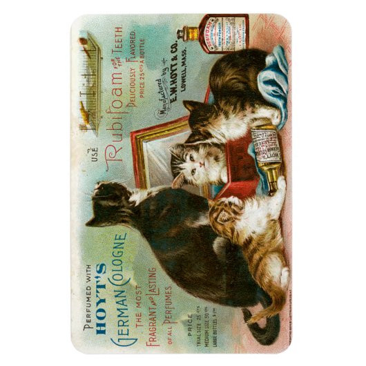 Katten voor Hoyt's Magneet (Verticaal)