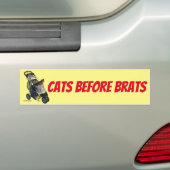 Katten Voor Kinderen Bumpersticker (Op auto)