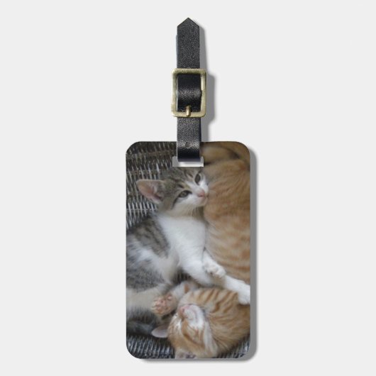 Katten voor kutsen bagagelabel (Voorkant verticaal)