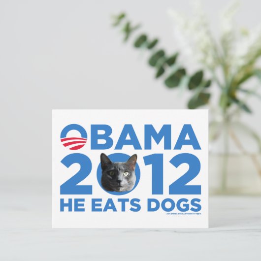 Katten voor Obama Briefkaart (Staand voorkant)