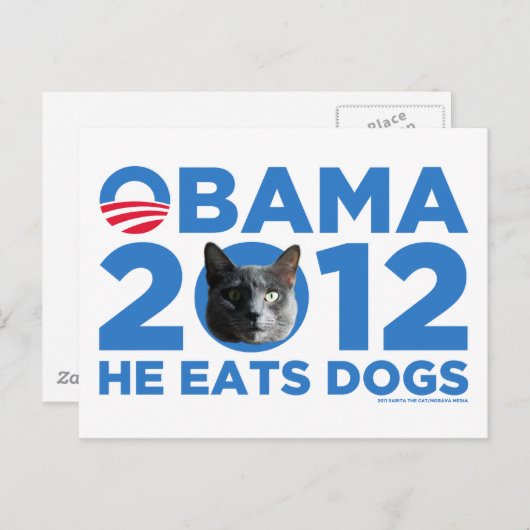 Katten voor Obama Briefkaart (Voorkant / Achterkant)