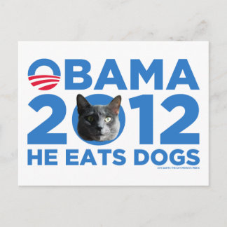 Katten voor Obama Briefkaart