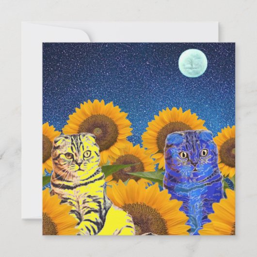 Katten voor Oekraïne (Voorkant)