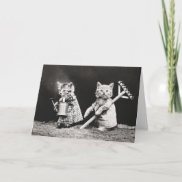 Katten voor tuinbouw | Kat met Rake Kaart