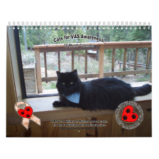 Katten voor VAS Bewustmaking! Kalender