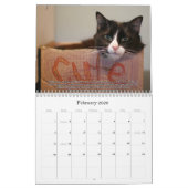 Katten voor VAS Bewustmaking! Kalender (Feb 2026)
