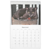 Katten voor VAS Bewustmaking! (Verticaal) Kalender (Mar 2027)