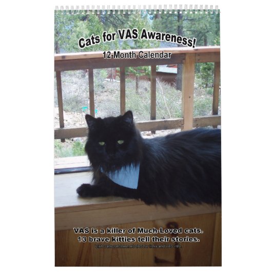 Katten voor VAS Bewustmaking! (Verticaal) Kalender (Hoes)