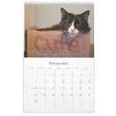 Katten voor VAS Bewustmaking! (Verticaal) Kalender (Feb 2027)