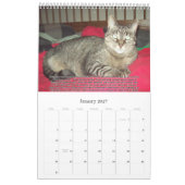Katten voor VAS Bewustmaking! (Verticaal) Kalender (Jan 2027)