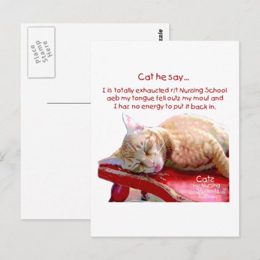 Katten voor verpleegkundigen - geëxtrudeerd briefkaart (Voorkant / Achterkant)