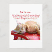 Katten voor verpleegkundigen - geëxtrudeerd briefkaart (Voorkant)