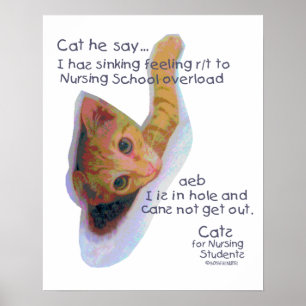 Katten voor verpleegkundigen - Ik heb een zinkend  Poster