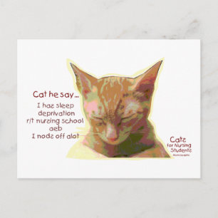 Katten voor verpleegkundigen - Slaapstand Briefkaart