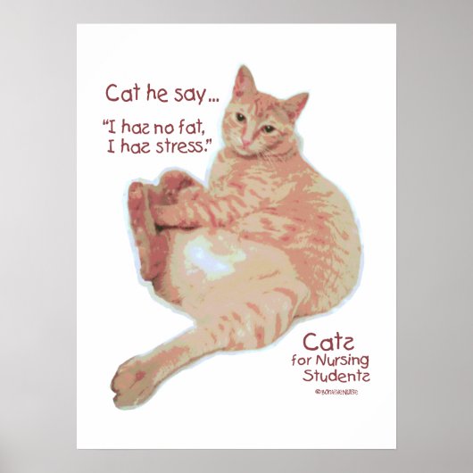 Katten voor verpleegstudenten - Ik heb stress Poster (Voorkant)