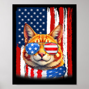 Katten VS Amerika Vlag Patriottische Katten 4 Juli Poster