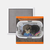 Katten wasmand magneet (Voorkant / Achterkant)