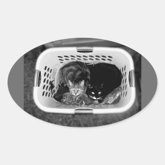 Katten wasmand ovale sticker (Voorkant)