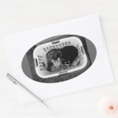 Katten wasmand ovale sticker (Envelop)