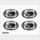 Katten wasmand ovale sticker (Vel)