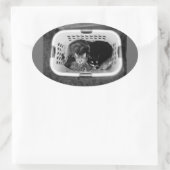 Katten wasmand ovale sticker (Tas)