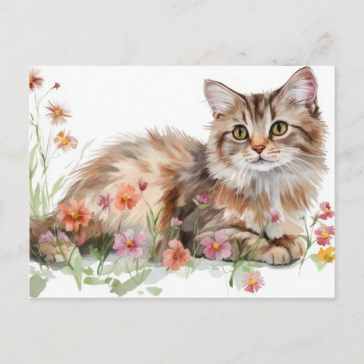 Katten Watercolor Ansichtkaart Briefkaart (Voorkant)