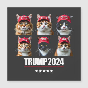 Katten weer veilig maken na verkiezing Maga Trump