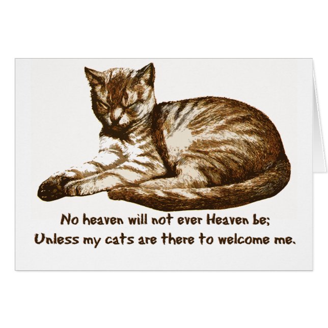 Katten Welkom (Voorkant Horizontaal)