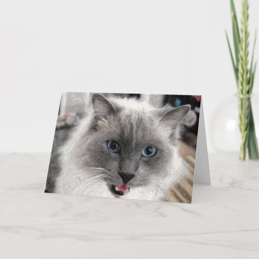Katten wenskaart kaart (Voorkant)