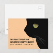 Katten werden gedragen als goden Funny Briefkaart (Voorkant / Achterkant)