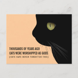 Katten werden gedragen als goden Funny Briefkaart