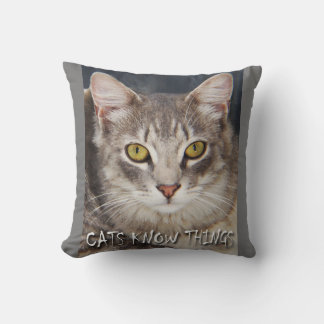 KATten WETEN DINGEN  Kussen