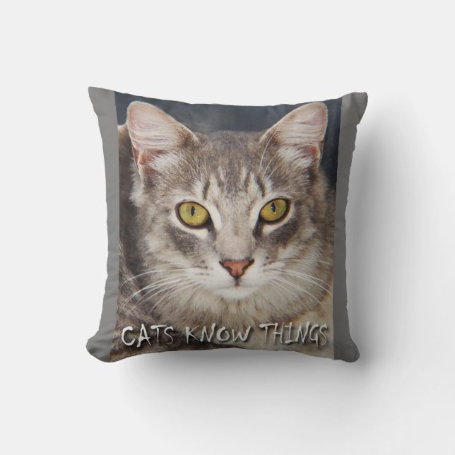 KATten WETEN DINGEN  Kussen (Voorkant)