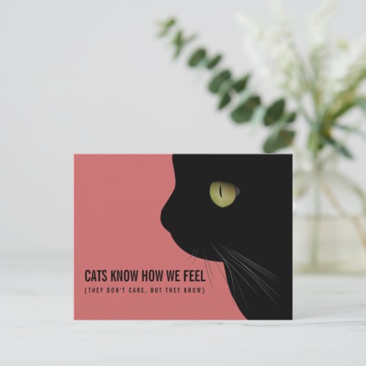 Katten weten hoe we ons schimmelachtig Briefkaart  (Staand voorkant)