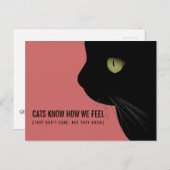 Katten weten hoe we ons schimmelachtig Briefkaart  (Voorkant / Achterkant)