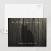 Katten weten hoe we ons voelen briefkaart (Voorkant / Achterkant)