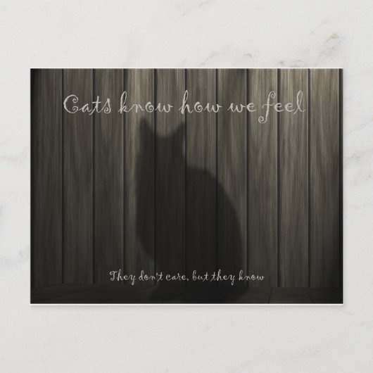 Katten weten hoe we ons voelen briefkaart (Voorkant)
