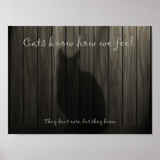 Katten weten hoe we ons voelen poster (Voorkant)